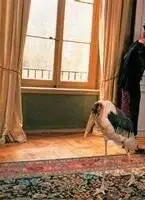 Истина в вине (1999) скачать торрент файл Истина в вине (1999) фильм скачать торрент файл