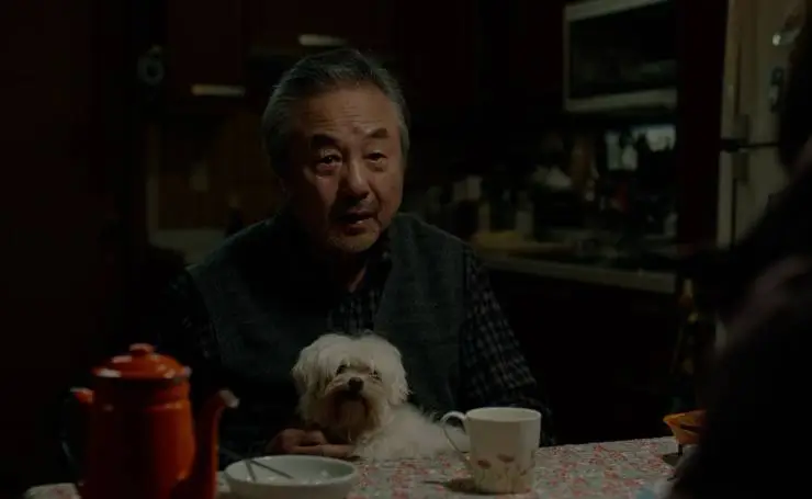 Аджумма (2022) в хорошем качестве скачать торрент файл Аджумма (2022) фильм в хорошем качестве скачать торрент файл