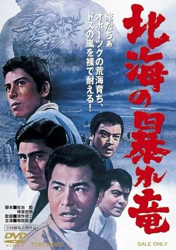 Дракон, буйствующий в Северном море / Hokkai no Abare-Ryu (1966) фильм скачать через торрет бесплатно в хорошем качестве