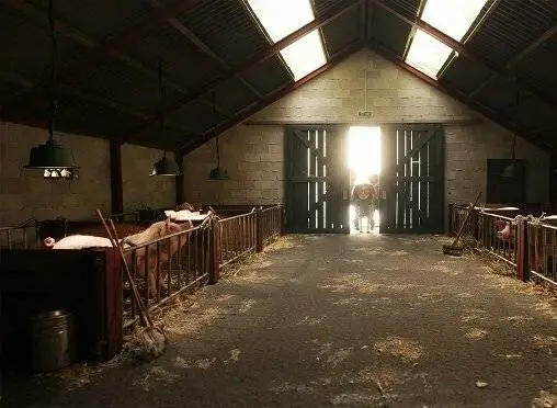 Хрюк (2022) в хорошем качестве скачать торрент файл Хрюк (2022) мультфильм в хорошем качестве скачать торрент файл