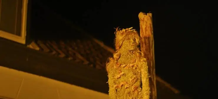 Молох (2022) скачать торрент файл Молох (2022) фильм скачать торрент файл