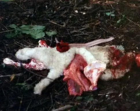 Зверь (1975) скачать торрент файл Зверь (1975) фильм скачать торрент файл