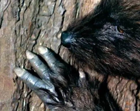 Зверь (1975) скачать торрент бесплатно Зверь (1975) фильм скачать торрент бесплатно