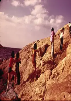 Бутон розы (1975) скачать торрент файл Бутон розы (1975) фильм скачать торрент файл