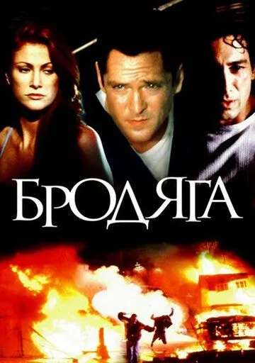Бродяга / The Stray (2000) фильм скачать через торрет бесплатно в хорошем качестве