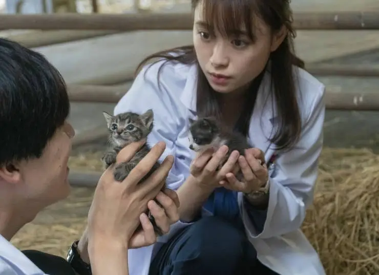 Клуб собак! (2021) скачать торрент бесплатно Клуб собак! (2021) фильм скачать торрент бесплатно