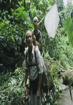 Голубая бабочка (2004) скачать торрент файл Голубая бабочка (2004) фильм скачать торрент файл