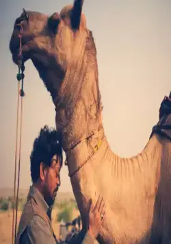 Песнь скорпионов (2017) скачать торрент файл Песнь скорпионов (2017) фильм скачать торрент файл