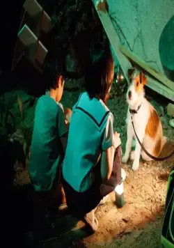 Как украсть собаку (2014) скачать торрент файл Как украсть собаку (2014) фильм скачать торрент файл