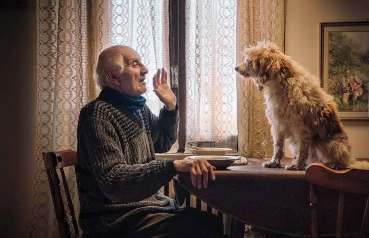 Охотники за трюфелями (2020) скачать торрент файл Охотники за трюфелями (2020) фильм скачать торрент файл