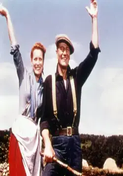 Тихий человек (1952) скачать торрент бесплатно Тихий человек (1952) фильм скачать торрент бесплатно