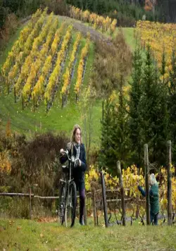 Погоня за счастьем (2021) в хорошем качестве скачать торрент файл Погоня за счастьем (2021) фильм в хорошем качестве скачать торрент файл