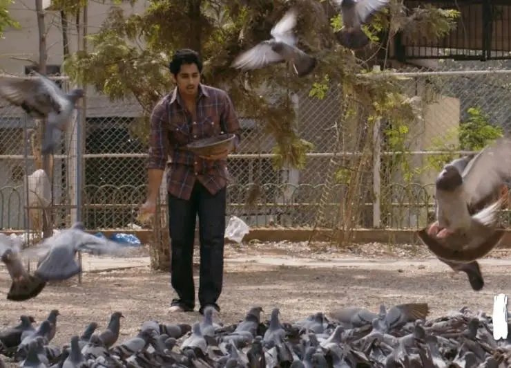 180 (2011) скачать торрент бесплатно 180 (2011) фильм скачать торрент бесплатно