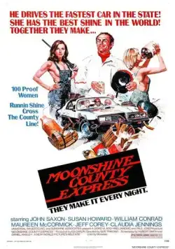 Экспресс в Лунном округе / Moonshine County Express (1977) фильм скачать через торрет бесплатно в хорошем качестве