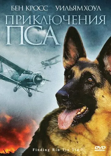 Приключения пса / Finding Rin Tin Tin (2007) фильм скачать через торрет бесплатно в хорошем качестве