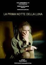 Светлая сторона Луны / La prima notte della luna (2010) cериал скачать через торрет бесплатно в хорошем качестве