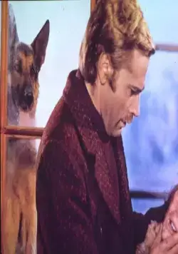 Возвращение Белого Клыка (1974) скачать торрент бесплатно Возвращение Белого Клыка (1974) фильм скачать торрент бесплатно