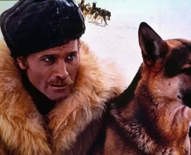 Возвращение Белого Клыка (1974) в хорошем качестве скачать торрент файл Возвращение Белого Клыка (1974) фильм в хорошем качестве скачать торрент файл