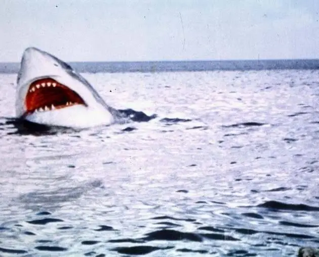 Последняя акула (1981) скачать торрент файл Последняя акула (1981) фильм скачать торрент файл