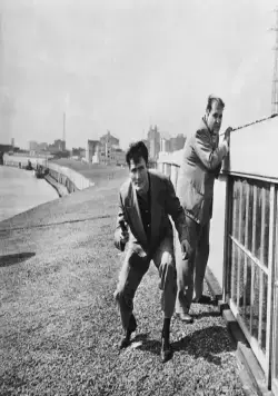 Паника на улицах (1950) в хорошем качестве скачать торрент файл Паника на улицах (1950) фильм в хорошем качестве скачать торрент файл