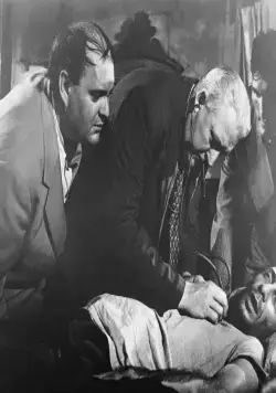 Паника на улицах (1950) скачать торрент бесплатно Паника на улицах (1950) фильм скачать торрент бесплатно