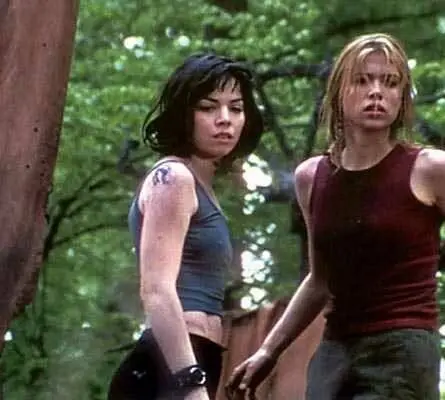 Братство друидов (2003) скачать торрент файл Братство друидов (2003) фильм скачать торрент файл