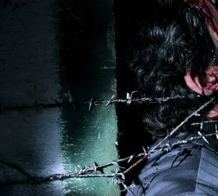 Дама в красном (2008) скачать торрент файл Дама в красном (2008) фильм скачать торрент файл