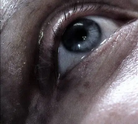 Дама в красном (2008) скачать торрент бесплатно Дама в красном (2008) фильм скачать торрент бесплатно