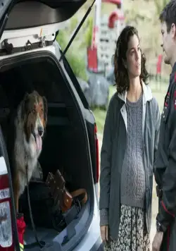 Руби, собака-спасатель (2022) скачать торрент бесплатно Руби, собака-спасатель (2022) фильм скачать торрент бесплатно