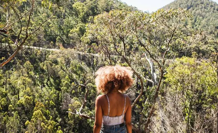 Сисси (2022) скачать торрент файл Сисси (2022) фильм скачать торрент файл