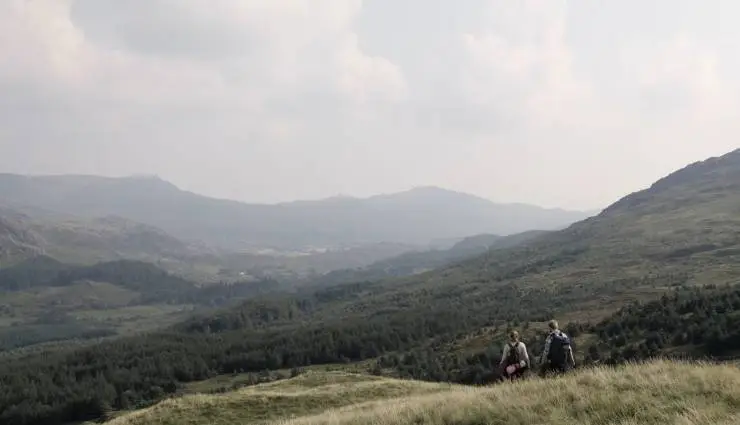 Среди живых (2022) скачать торрент файл Среди живых (2022) фильм скачать торрент файл