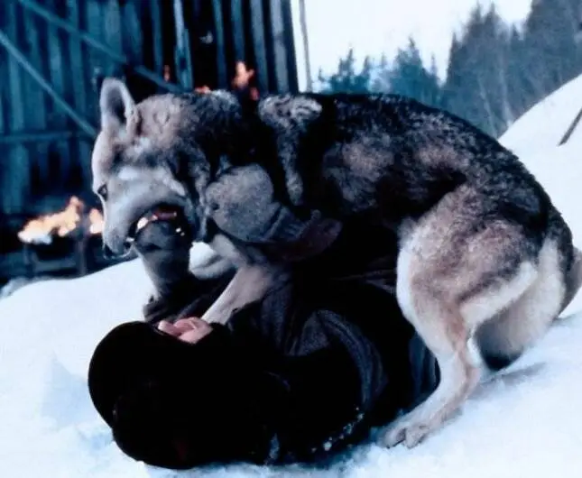 Северная звезда (1996) скачать торрент бесплатно Северная звезда (1996) фильм скачать торрент бесплатно