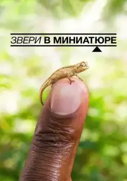 Звери в миниатюре / Super Small Animals (2017) фильм скачать через торрет бесплатно в хорошем качестве