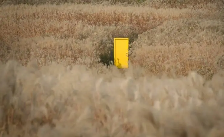 Жёлтая дверь: Клуб кинолюбителей 90-х (2023) скачать торрент бесплатно Жёлтая дверь: Клуб кинолюбителей 90-х (2023) фильм скачать торрент бесплатно