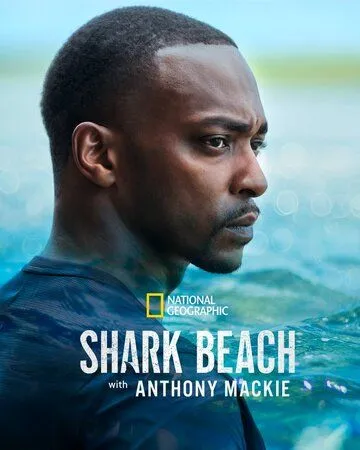 Акулий пляж с Энтони Маки / Shark Beach with Anthony Mackie (2024) фильм скачать через торрет бесплатно в хорошем качестве