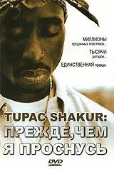 Tupac Shakur: Прежде, чем я проснусь / Tupac Shakur: Before I Wake... 2001 смотреть онлайн фильм в хорошем качестве