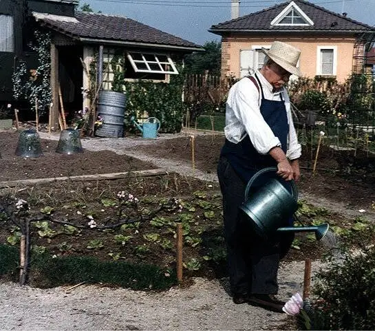 Садовник из Аржантей (1966) скачать торрент бесплатно Садовник из Аржантей (1966) фильм скачать торрент бесплатно