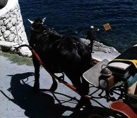 Садовник из Аржантей (1966) в хорошем качестве скачать торрент файл Садовник из Аржантей (1966) фильм в хорошем качестве скачать торрент файл