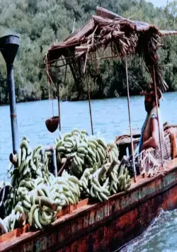 Банановый Джо (1982) скачать торрент файл Банановый Джо (1982) фильм скачать торрент файл