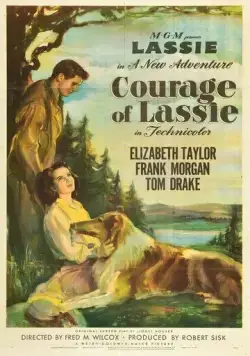 Храбрость Лэсси / Courage of Lassie (1946) фильм скачать через торрет бесплатно в хорошем качестве