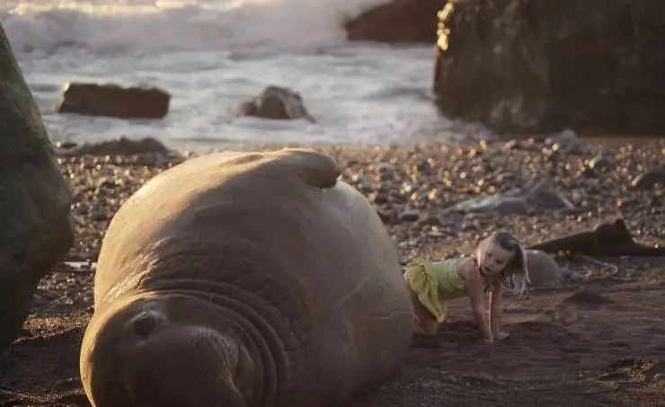 Остров пропавших девчонок (2022) в хорошем качестве скачать торрент файл Остров пропавших девчонок (2022) фильм в хорошем качестве скачать торрент файл