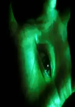 Врата (1986) в хорошем качестве скачать торрент файл Врата (1986) фильм в хорошем качестве скачать торрент файл