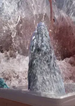 Горные акулы (2014) скачать торрент файл Горные акулы (2014) фильм скачать торрент файл