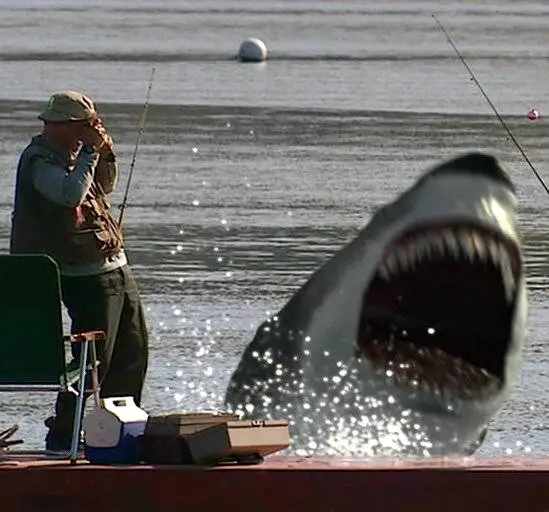 Инстинкт хищника (2004) в хорошем качестве скачать торрент файл Инстинкт хищника (2004) фильм в хорошем качестве скачать торрент файл