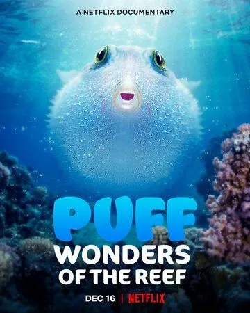 Чудеса кораллового рифа / Puff: Wonders of the Reef (2021) фильм скачать через торрет бесплатно в хорошем качестве