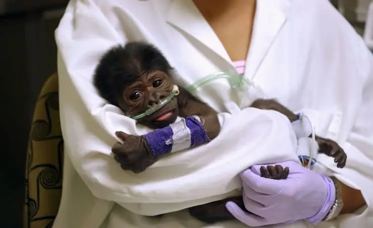 Спасти планету (2020) скачать торрент файл Спасти планету (2020) фильм скачать торрент файл