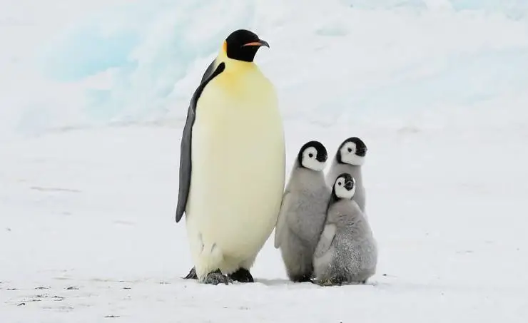 Спасти планету (2020) скачать торрент бесплатно Спасти планету (2020) фильм скачать торрент бесплатно