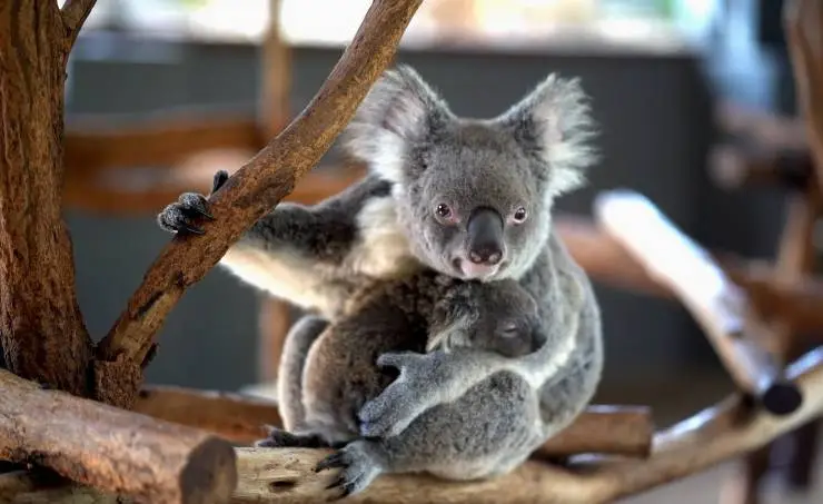 Спасти планету (2020) в хорошем качестве скачать торрент файл Спасти планету (2020) фильм в хорошем качестве скачать торрент файл