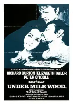 Под сенью млечного леса / Under Milk Wood (1971) фильм скачать через торрет бесплатно в хорошем качестве