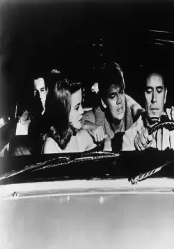 Кошечка с хлыстом (1964) скачать торрент бесплатно Кошечка с хлыстом (1964) фильм скачать торрент бесплатно